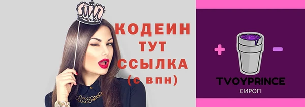 мет Пересвет