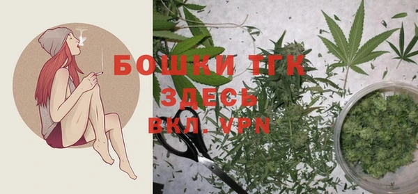 мет Пересвет