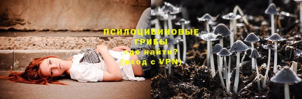 хмурый Осинники