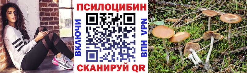 кракен как зайти  Шелехов  Псилоцибиновые грибы Magic Shrooms 