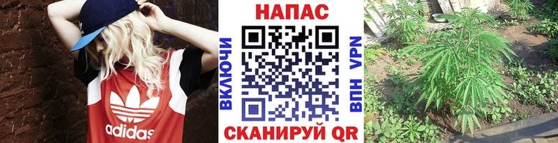 Канабис план  Шелехов 