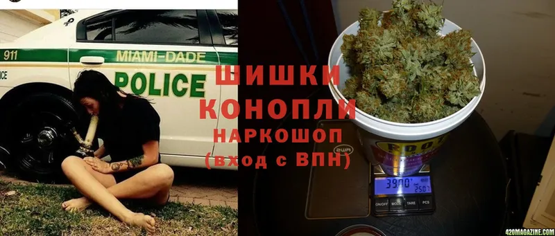 цены   Шелехов  Канабис Ganja 